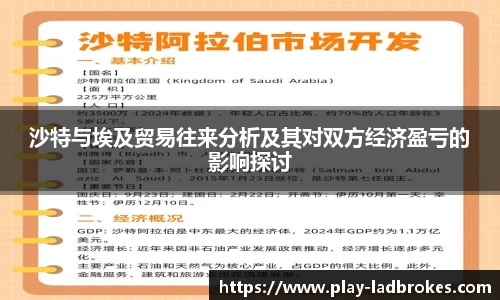 沙特与埃及贸易往来分析及其对双方经济盈亏的影响探讨
